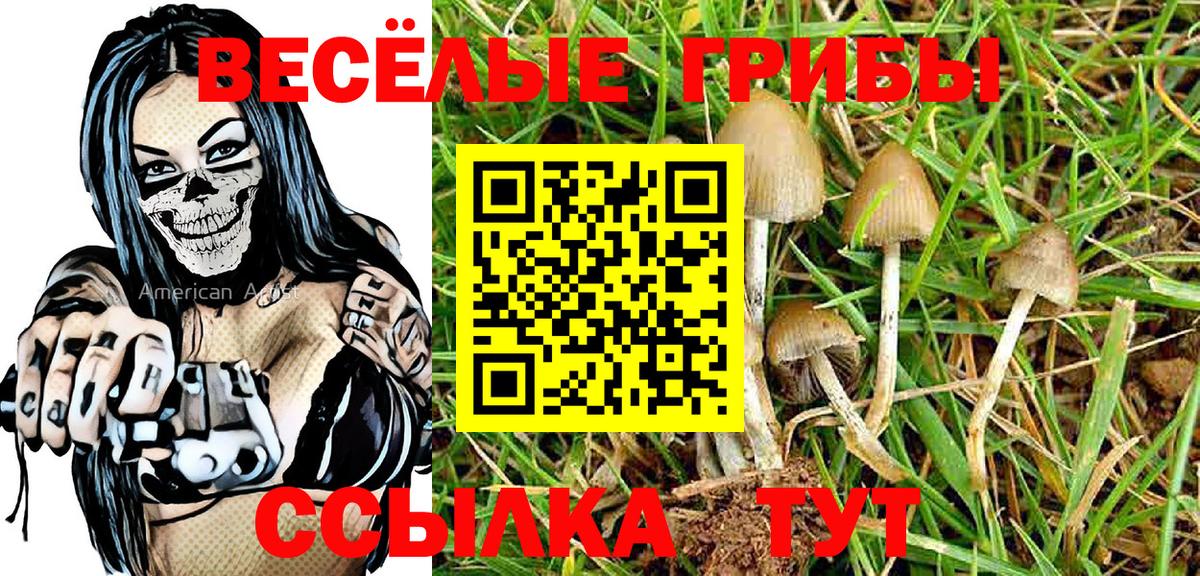 Псилоцибиновые грибы Psilocybe Воскресенск